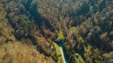 Avrupa 'daki Güzel Yoğunluk Ormanı (124; 4K Hava Aracı: Lush Green Woodland Manzarası 124; Doğal Çevre, Ağaçlar ve Yaban Hayatı - 124; Huzurlu Doğa, Çevre Turizmi ve Manzarası Ormanı 