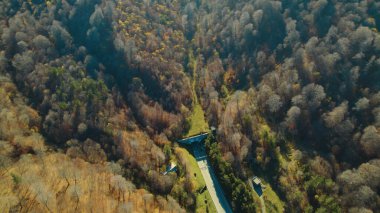 Avrupa 'daki Güzel Yoğunluk Ormanı (124; 4K Hava Aracı: Lush Green Woodland Manzarası 124; Doğal Çevre, Ağaçlar ve Yaban Hayatı - 124; Huzurlu Doğa, Çevre Turizmi ve Manzarası Ormanı 