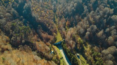 Avrupa 'daki Güzel Yoğunluk Ormanı (124; 4K Hava Aracı: Lush Green Woodland Manzarası 124; Doğal Çevre, Ağaçlar ve Yaban Hayatı - 124; Huzurlu Doğa, Çevre Turizmi ve Manzarası Ormanı 