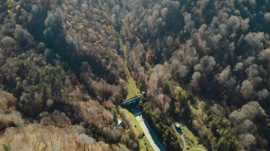 Avrupa 'daki Güzel Yoğunluk Ormanı (124; 4K Hava Aracı: Lush Green Woodland Manzarası 124; Doğal Çevre, Ağaçlar ve Yaban Hayatı - 124; Huzurlu Doğa, Çevre Turizmi ve Manzarası Ormanı 