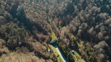 Avrupa 'daki Güzel Yoğunluk Ormanı (124; 4K Hava Aracı: Lush Green Woodland Manzarası 124; Doğal Çevre, Ağaçlar ve Yaban Hayatı - 124; Huzurlu Doğa, Çevre Turizmi ve Manzarası Ormanı 