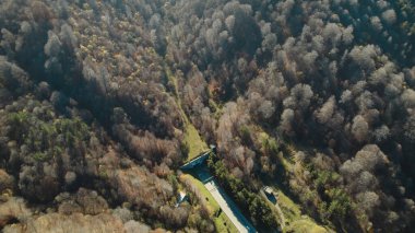 Avrupa 'daki Güzel Yoğunluk Ormanı (124; 4K Hava Aracı: Lush Green Woodland Manzarası 124; Doğal Çevre, Ağaçlar ve Yaban Hayatı - 124; Huzurlu Doğa, Çevre Turizmi ve Manzarası Ormanı 