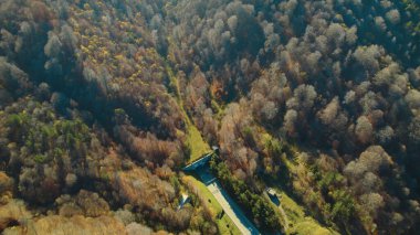 Avrupa 'daki Güzel Yoğunluk Ormanı (124; 4K Hava Aracı: Lush Green Woodland Manzarası 124; Doğal Çevre, Ağaçlar ve Yaban Hayatı - 124; Huzurlu Doğa, Çevre Turizmi ve Manzarası Ormanı 