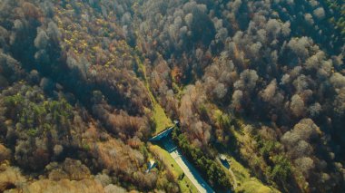 Avrupa 'daki Güzel Yoğunluk Ormanı (124; 4K Hava Aracı: Lush Green Woodland Manzarası 124; Doğal Çevre, Ağaçlar ve Yaban Hayatı - 124; Huzurlu Doğa, Çevre Turizmi ve Manzarası Ormanı 