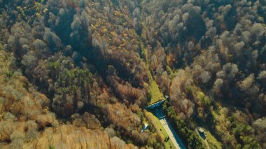 Avrupa 'daki Güzel Yoğunluk Ormanı (124; 4K Hava Aracı: Lush Green Woodland Manzarası 124; Doğal Çevre, Ağaçlar ve Yaban Hayatı - 124; Huzurlu Doğa, Çevre Turizmi ve Manzarası Ormanı 