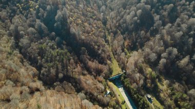 Avrupa 'daki Güzel Yoğunluk Ormanı (124; 4K Hava Aracı: Lush Green Woodland Manzarası 124; Doğal Çevre, Ağaçlar ve Yaban Hayatı - 124; Huzurlu Doğa, Çevre Turizmi ve Manzarası Ormanı 