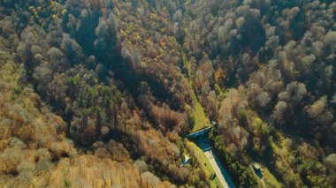 Avrupa 'daki Güzel Yoğunluk Ormanı (124; 4K Hava Aracı: Lush Green Woodland Manzarası 124; Doğal Çevre, Ağaçlar ve Yaban Hayatı - 124; Huzurlu Doğa, Çevre Turizmi ve Manzarası Ormanı 