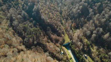 Avrupa 'daki Güzel Yoğunluk Ormanı (124; 4K Hava Aracı: Lush Green Woodland Manzarası 124; Doğal Çevre, Ağaçlar ve Yaban Hayatı - 124; Huzurlu Doğa, Çevre Turizmi ve Manzarası Ormanı 