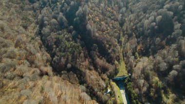 Avrupa 'daki Güzel Yoğunluk Ormanı (124; 4K Hava Aracı: Lush Green Woodland Manzarası 124; Doğal Çevre, Ağaçlar ve Yaban Hayatı - 124; Huzurlu Doğa, Çevre Turizmi ve Manzarası Ormanı 