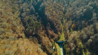 Avrupa 'daki Güzel Yoğunluk Ormanı (124; 4K Hava Aracı: Lush Green Woodland Manzarası 124; Doğal Çevre, Ağaçlar ve Yaban Hayatı - 124; Huzurlu Doğa, Çevre Turizmi ve Manzarası Ormanı 