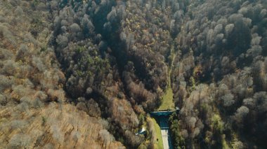 Avrupa 'daki Güzel Yoğunluk Ormanı (124; 4K Hava Aracı: Lush Green Woodland Manzarası 124; Doğal Çevre, Ağaçlar ve Yaban Hayatı - 124; Huzurlu Doğa, Çevre Turizmi ve Manzarası Ormanı 