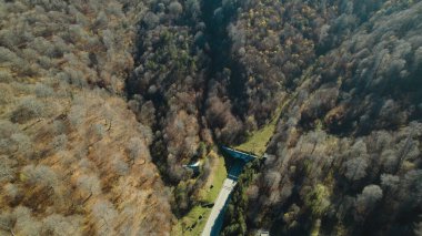 Avrupa 'daki Güzel Yoğunluk Ormanı (124; 4K Hava Aracı: Lush Green Woodland Manzarası 124; Doğal Çevre, Ağaçlar ve Yaban Hayatı - 124; Huzurlu Doğa, Çevre Turizmi ve Manzarası Ormanı 