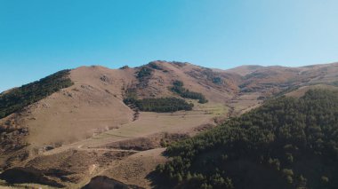 Avrupa 'daki Güzel Yoğunluk Ormanı (124; 4K Hava Aracı: Lush Green Woodland Manzarası 124; Doğal Çevre, Ağaçlar ve Yaban Hayatı - 124; Huzurlu Doğa, Çevre Turizmi ve Manzarası Ormanı 