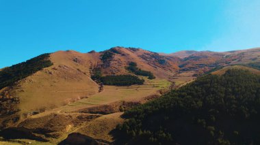 Avrupa 'daki Güzel Yoğunluk Ormanı (124; 4K Hava Aracı: Lush Green Woodland Manzarası 124; Doğal Çevre, Ağaçlar ve Yaban Hayatı - 124; Huzurlu Doğa, Çevre Turizmi ve Manzarası Ormanı 