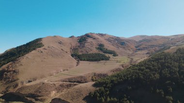 Avrupa 'daki Güzel Yoğunluk Ormanı (124; 4K Hava Aracı: Lush Green Woodland Manzarası 124; Doğal Çevre, Ağaçlar ve Yaban Hayatı - 124; Huzurlu Doğa, Çevre Turizmi ve Manzarası Ormanı 