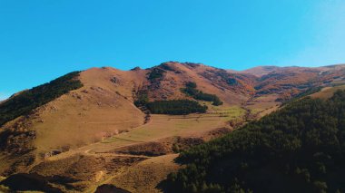 Avrupa 'daki Güzel Yoğunluk Ormanı (124; 4K Hava Aracı: Lush Green Woodland Manzarası 124; Doğal Çevre, Ağaçlar ve Yaban Hayatı - 124; Huzurlu Doğa, Çevre Turizmi ve Manzarası Ormanı 