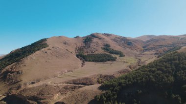 Avrupa 'daki Güzel Yoğunluk Ormanı (124; 4K Hava Aracı: Lush Green Woodland Manzarası 124; Doğal Çevre, Ağaçlar ve Yaban Hayatı - 124; Huzurlu Doğa, Çevre Turizmi ve Manzarası Ormanı 