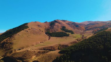 Avrupa 'daki Güzel Yoğunluk Ormanı (124; 4K Hava Aracı: Lush Green Woodland Manzarası 124; Doğal Çevre, Ağaçlar ve Yaban Hayatı - 124; Huzurlu Doğa, Çevre Turizmi ve Manzarası Ormanı 