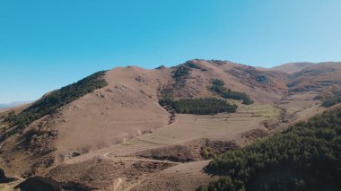 Avrupa 'daki Güzel Yoğunluk Ormanı (124; 4K Hava Aracı: Lush Green Woodland Manzarası 124; Doğal Çevre, Ağaçlar ve Yaban Hayatı - 124; Huzurlu Doğa, Çevre Turizmi ve Manzarası Ormanı 