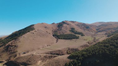 Avrupa 'daki Güzel Yoğunluk Ormanı (124; 4K Hava Aracı: Lush Green Woodland Manzarası 124; Doğal Çevre, Ağaçlar ve Yaban Hayatı - 124; Huzurlu Doğa, Çevre Turizmi ve Manzarası Ormanı 