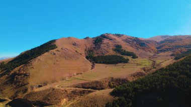 Avrupa 'daki Güzel Yoğunluk Ormanı (124; 4K Hava Aracı: Lush Green Woodland Manzarası 124; Doğal Çevre, Ağaçlar ve Yaban Hayatı - 124; Huzurlu Doğa, Çevre Turizmi ve Manzarası Ormanı 
