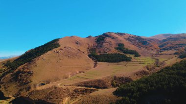 Avrupa 'daki Güzel Yoğunluk Ormanı (124; 4K Hava Aracı: Lush Green Woodland Manzarası 124; Doğal Çevre, Ağaçlar ve Yaban Hayatı - 124; Huzurlu Doğa, Çevre Turizmi ve Manzarası Ormanı 