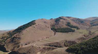 Avrupa 'daki Güzel Yoğunluk Ormanı (124; 4K Hava Aracı: Lush Green Woodland Manzarası 124; Doğal Çevre, Ağaçlar ve Yaban Hayatı - 124; Huzurlu Doğa, Çevre Turizmi ve Manzarası Ormanı 