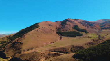 Avrupa 'daki Güzel Yoğunluk Ormanı (124; 4K Hava Aracı: Lush Green Woodland Manzarası 124; Doğal Çevre, Ağaçlar ve Yaban Hayatı - 124; Huzurlu Doğa, Çevre Turizmi ve Manzarası Ormanı 