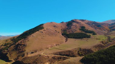 Avrupa 'daki Güzel Yoğunluk Ormanı (124; 4K Hava Aracı: Lush Green Woodland Manzarası 124; Doğal Çevre, Ağaçlar ve Yaban Hayatı - 124; Huzurlu Doğa, Çevre Turizmi ve Manzarası Ormanı 