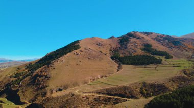 Avrupa 'daki Güzel Yoğunluk Ormanı (124; 4K Hava Aracı: Lush Green Woodland Manzarası 124; Doğal Çevre, Ağaçlar ve Yaban Hayatı - 124; Huzurlu Doğa, Çevre Turizmi ve Manzarası Ormanı 