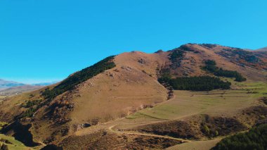 Avrupa 'daki Güzel Yoğunluk Ormanı (124; 4K Hava Aracı: Lush Green Woodland Manzarası 124; Doğal Çevre, Ağaçlar ve Yaban Hayatı - 124; Huzurlu Doğa, Çevre Turizmi ve Manzarası Ormanı 