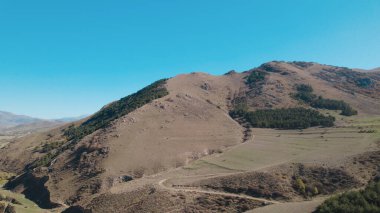Avrupa 'daki Güzel Yoğunluk Ormanı (124; 4K Hava Aracı: Lush Green Woodland Manzarası 124; Doğal Çevre, Ağaçlar ve Yaban Hayatı - 124; Huzurlu Doğa, Çevre Turizmi ve Manzarası Ormanı 