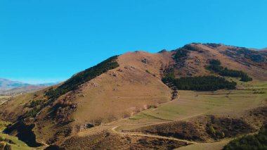 Avrupa 'daki Güzel Yoğunluk Ormanı (124; 4K Hava Aracı: Lush Green Woodland Manzarası 124; Doğal Çevre, Ağaçlar ve Yaban Hayatı - 124; Huzurlu Doğa, Çevre Turizmi ve Manzarası Ormanı 