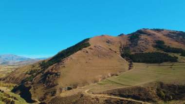 Avrupa 'daki Güzel Yoğunluk Ormanı (124; 4K Hava Aracı: Lush Green Woodland Manzarası 124; Doğal Çevre, Ağaçlar ve Yaban Hayatı - 124; Huzurlu Doğa, Çevre Turizmi ve Manzarası Ormanı 