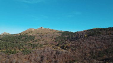 Avrupa 'daki Güzel Yoğunluk Ormanı (124; 4K Hava Aracı: Lush Green Woodland Manzarası 124; Doğal Çevre, Ağaçlar ve Yaban Hayatı - 124; Huzurlu Doğa, Çevre Turizmi ve Manzarası Ormanı 