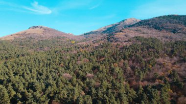 Avrupa 'daki Güzel Yoğunluk Ormanı (124; 4K Hava Aracı: Lush Green Woodland Manzarası 124; Doğal Çevre, Ağaçlar ve Yaban Hayatı - 124; Huzurlu Doğa, Çevre Turizmi ve Manzarası Ormanı 