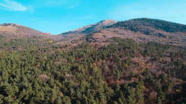 Avrupa 'daki Güzel Yoğunluk Ormanı (124; 4K Hava Aracı: Lush Green Woodland Manzarası 124; Doğal Çevre, Ağaçlar ve Yaban Hayatı - 124; Huzurlu Doğa, Çevre Turizmi ve Manzarası Ormanı 