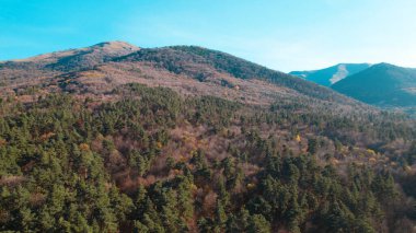 Avrupa 'daki Güzel Yoğunluk Ormanı (124; 4K Hava Aracı: Lush Green Woodland Manzarası 124; Doğal Çevre, Ağaçlar ve Yaban Hayatı - 124; Huzurlu Doğa, Çevre Turizmi ve Manzarası Ormanı 