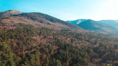 Avrupa 'daki Güzel Yoğunluk Ormanı (124; 4K Hava Aracı: Lush Green Woodland Manzarası 124; Doğal Çevre, Ağaçlar ve Yaban Hayatı - 124; Huzurlu Doğa, Çevre Turizmi ve Manzarası Ormanı 