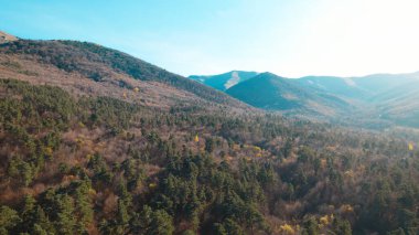 Avrupa 'daki Güzel Yoğunluk Ormanı (124; 4K Hava Aracı: Lush Green Woodland Manzarası 124; Doğal Çevre, Ağaçlar ve Yaban Hayatı - 124; Huzurlu Doğa, Çevre Turizmi ve Manzarası Ormanı 