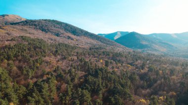 Avrupa 'daki Güzel Yoğunluk Ormanı (124; 4K Hava Aracı: Lush Green Woodland Manzarası 124; Doğal Çevre, Ağaçlar ve Yaban Hayatı - 124; Huzurlu Doğa, Çevre Turizmi ve Manzarası Ormanı 