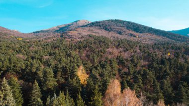 Avrupa 'daki Güzel Yoğunluk Ormanı (124; 4K Hava Aracı: Lush Green Woodland Manzarası 124; Doğal Çevre, Ağaçlar ve Yaban Hayatı - 124; Huzurlu Doğa, Çevre Turizmi ve Manzarası Ormanı 