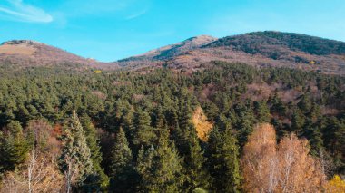 Avrupa 'daki Güzel Yoğunluk Ormanı (124; 4K Hava Aracı: Lush Green Woodland Manzarası 124; Doğal Çevre, Ağaçlar ve Yaban Hayatı - 124; Huzurlu Doğa, Çevre Turizmi ve Manzarası Ormanı 