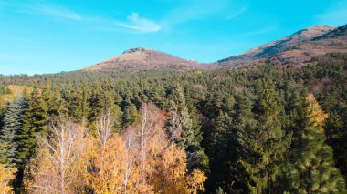 Avrupa 'daki Güzel Yoğunluk Ormanı (124; 4K Hava Aracı: Lush Green Woodland Manzarası 124; Doğal Çevre, Ağaçlar ve Yaban Hayatı - 124; Huzurlu Doğa, Çevre Turizmi ve Manzarası Ormanı 