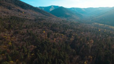 Avrupa 'daki Güzel Yoğunluk Ormanı (124; 4K Hava Aracı: Lush Green Woodland Manzarası 124; Doğal Çevre, Ağaçlar ve Yaban Hayatı - 124; Huzurlu Doğa, Çevre Turizmi ve Manzarası Ormanı 