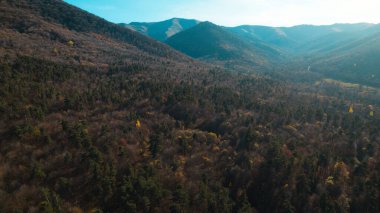 Avrupa 'daki Güzel Yoğunluk Ormanı (124; 4K Hava Aracı: Lush Green Woodland Manzarası 124; Doğal Çevre, Ağaçlar ve Yaban Hayatı - 124; Huzurlu Doğa, Çevre Turizmi ve Manzarası Ormanı 