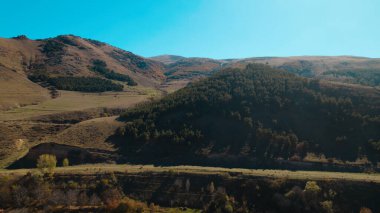 Avrupa 'daki Güzel Yoğunluk Ormanı (124; 4K Hava Aracı: Lush Green Woodland Manzarası 124; Doğal Çevre, Ağaçlar ve Yaban Hayatı - 124; Huzurlu Doğa, Çevre Turizmi ve Manzarası Ormanı 