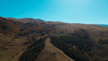 Avrupa 'daki Güzel Yoğunluk Ormanı (124; 4K Hava Aracı: Lush Green Woodland Manzarası 124; Doğal Çevre, Ağaçlar ve Yaban Hayatı - 124; Huzurlu Doğa, Çevre Turizmi ve Manzarası Ormanı  