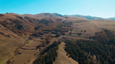 Avrupa 'daki Güzel Yoğunluk Ormanı (124; 4K Hava Aracı: Lush Green Woodland Manzarası 124; Doğal Çevre, Ağaçlar ve Yaban Hayatı - 124; Huzurlu Doğa, Çevre Turizmi ve Manzarası Ormanı  
