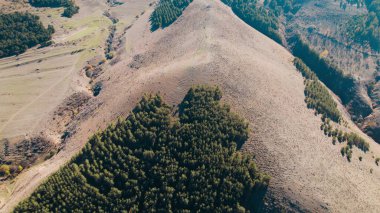 Avrupa 'daki Güzel Yoğunluk Ormanı (124; 4K Hava Aracı: Lush Green Woodland Manzarası 124; Doğal Çevre, Ağaçlar ve Yaban Hayatı - 124; Huzurlu Doğa, Çevre Turizmi ve Manzarası Ormanı  